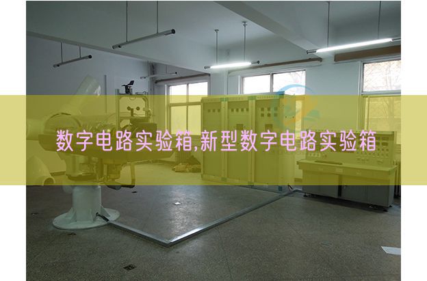 數(shù)字電路實驗箱,新型數(shù)字電路實驗箱(圖1)