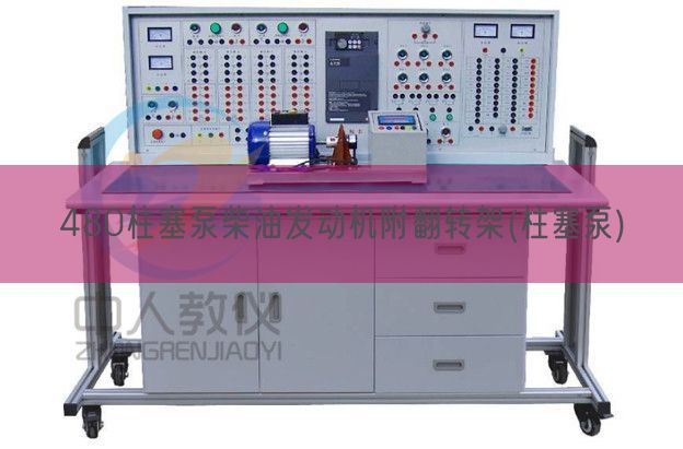 480柱塞泵柴油發動機附翻轉架(柱塞泵)(圖1)