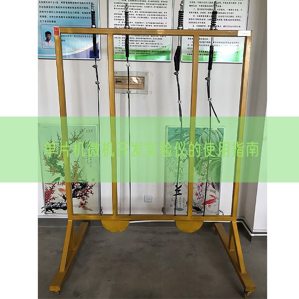 單片機(jī)微機(jī)開發(fā)實(shí)驗(yàn)儀的使用指南(圖1)